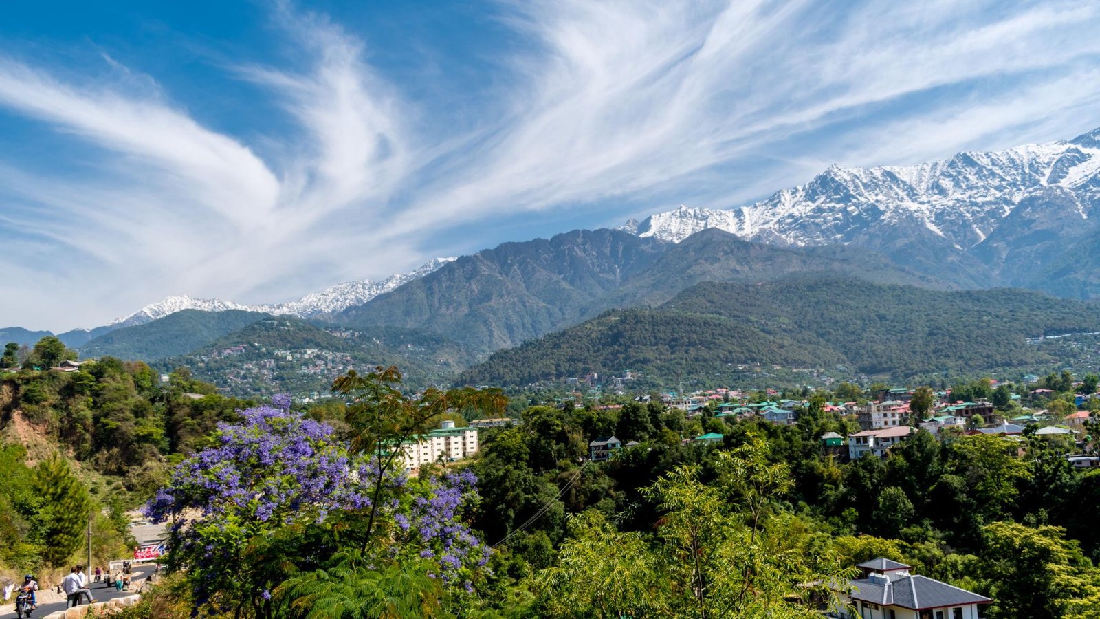 dharamshala 3